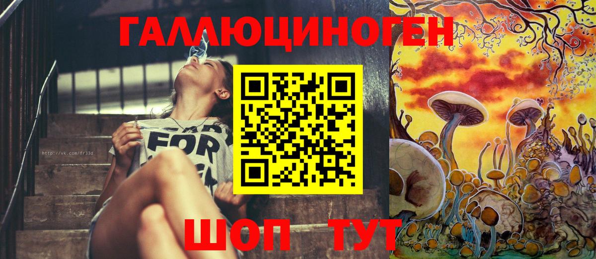 Галлюциногенные грибы Psilocybine cubensis  Вход с VPN  Кировск 