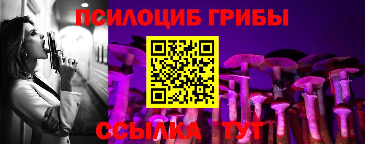 Псилоцибиновые грибы Psilocybine cubensis Кировск